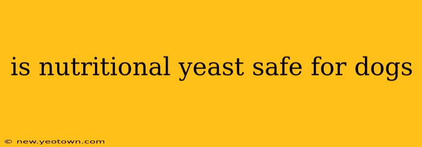 is nutritional yeast safe for dogs