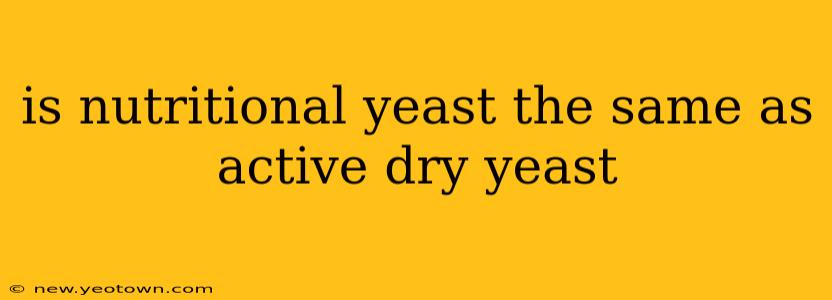 is nutritional yeast the same as active dry yeast
