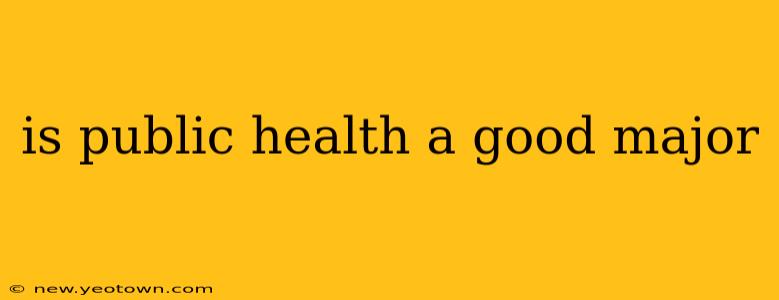 is public health a good major