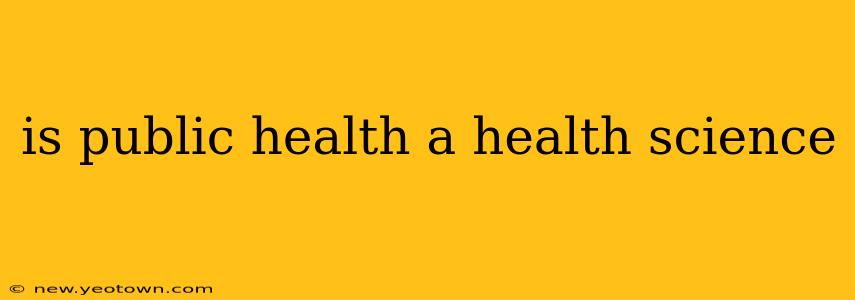 is public health a health science