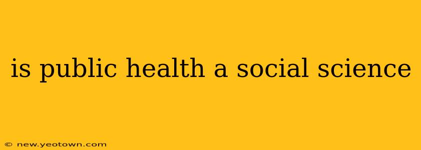 is public health a social science
