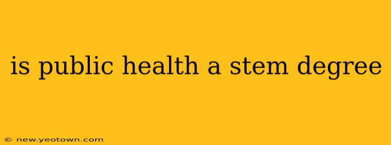 is public health a stem degree
