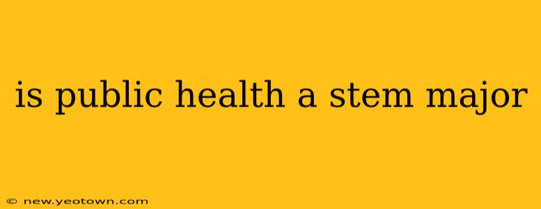 is public health a stem major