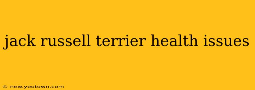jack russell terrier health issues