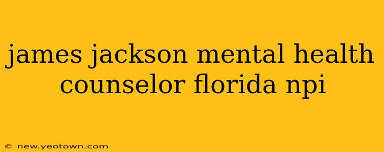james jackson mental health counselor florida npi