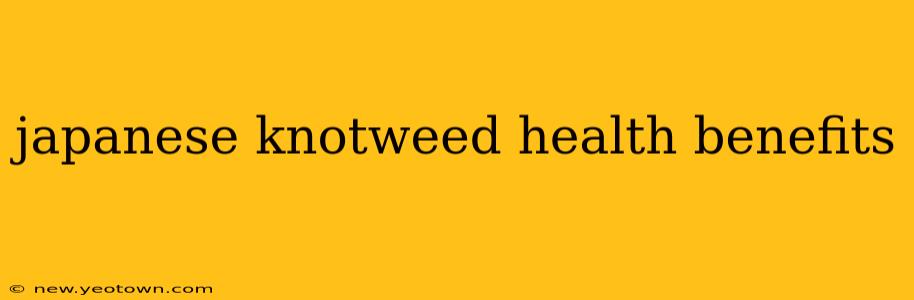 japanese knotweed health benefits