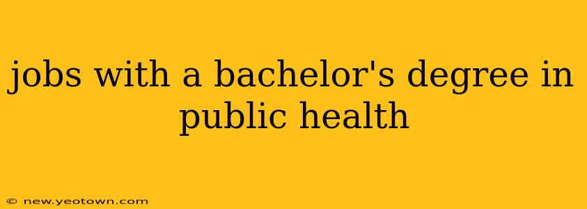 jobs with a bachelor's degree in public health