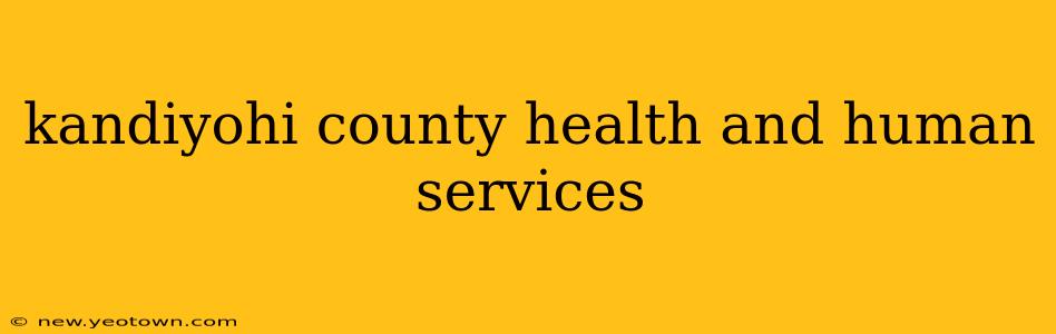 kandiyohi county health and human services