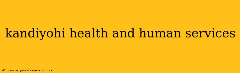 kandiyohi health and human services