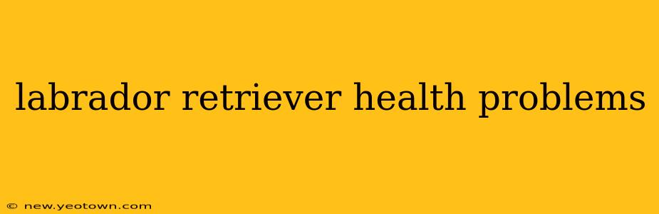 labrador retriever health problems