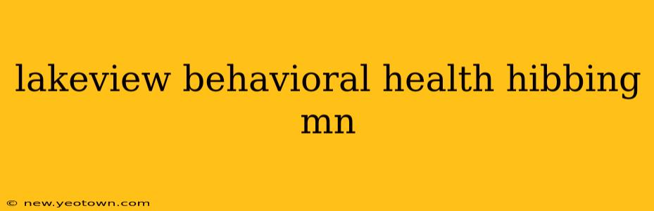lakeview behavioral health hibbing mn