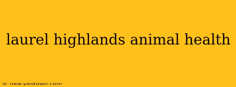 laurel highlands animal health