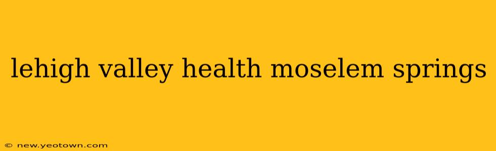 lehigh valley health moselem springs