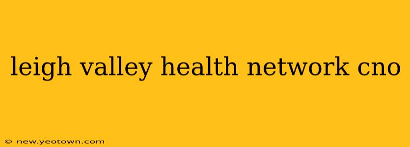 leigh valley health network cno