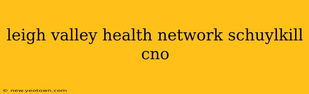 leigh valley health network schuylkill cno