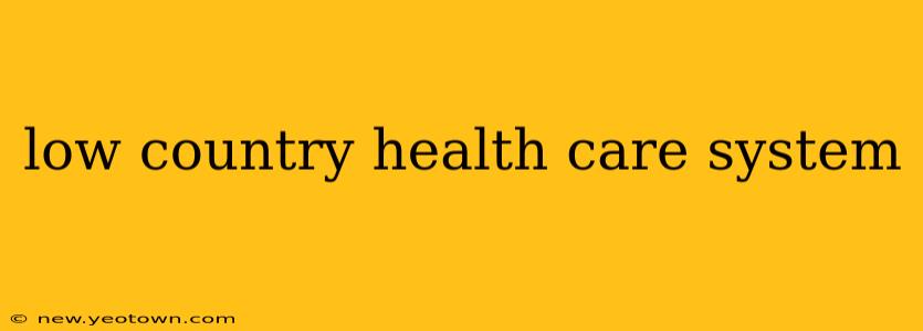 low country health care system