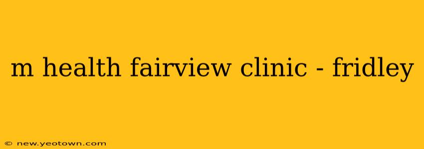 m health fairview clinic - fridley
