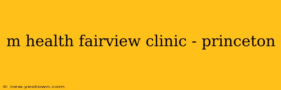 m health fairview clinic - princeton