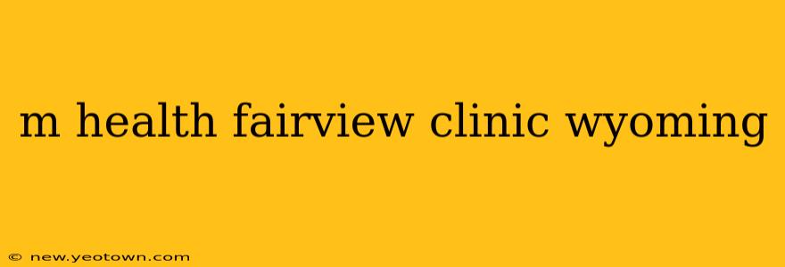 m health fairview clinic wyoming