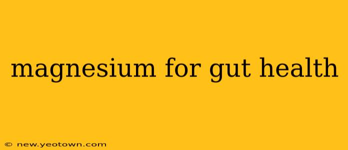 magnesium for gut health