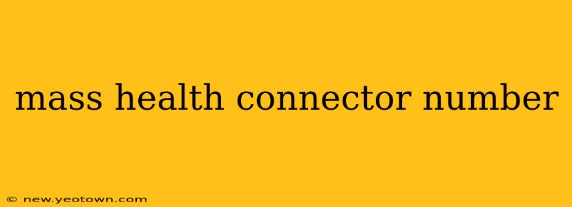 mass health connector number