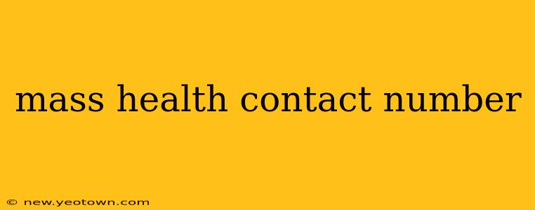 mass health contact number