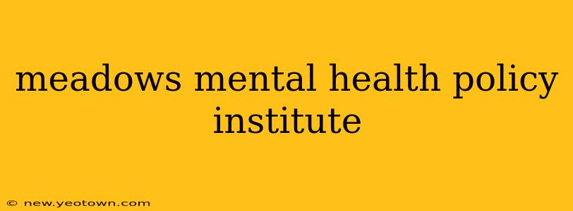 meadows mental health policy institute