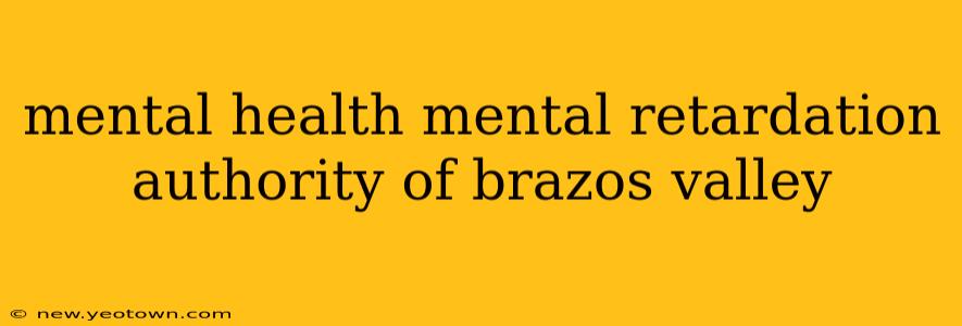 mental health mental retardation authority of brazos valley