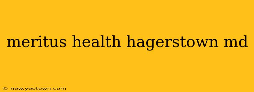 meritus health hagerstown md