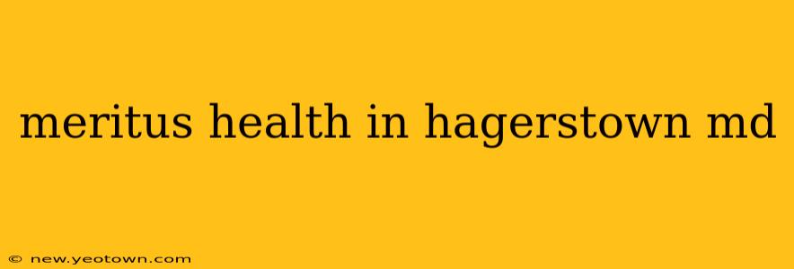 meritus health in hagerstown md
