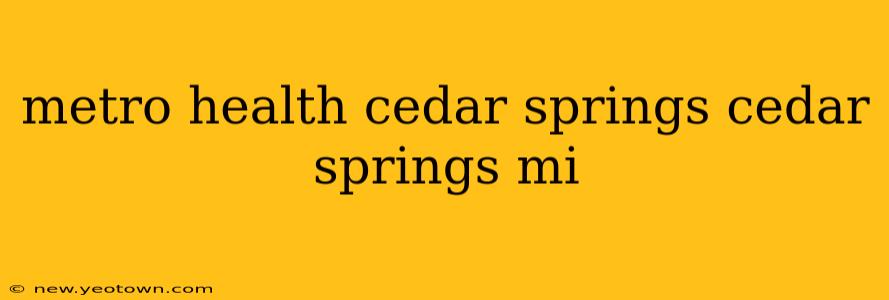 metro health cedar springs cedar springs mi