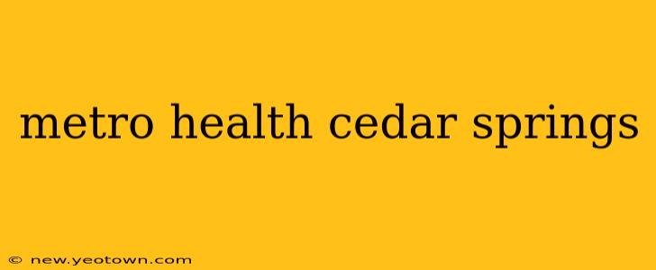 metro health cedar springs