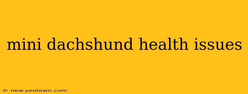 mini dachshund health issues