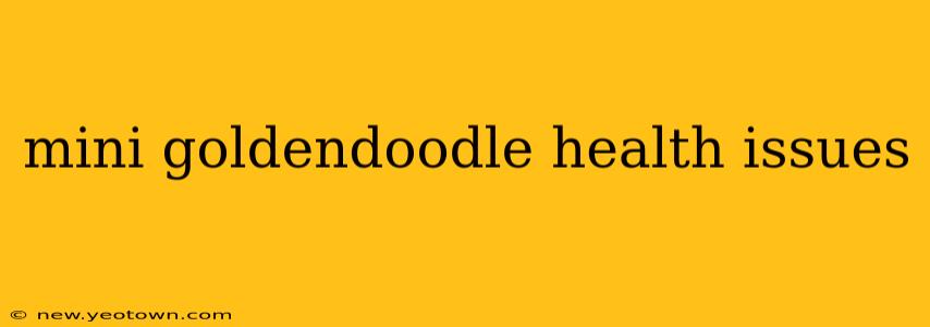 mini goldendoodle health issues