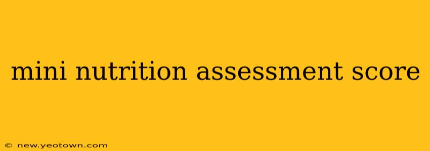 mini nutrition assessment score