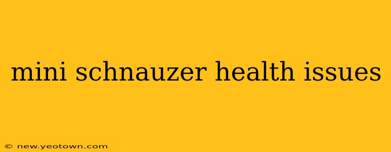 mini schnauzer health issues