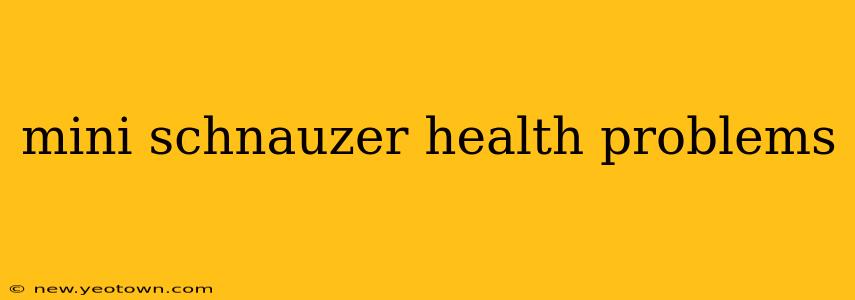 mini schnauzer health problems