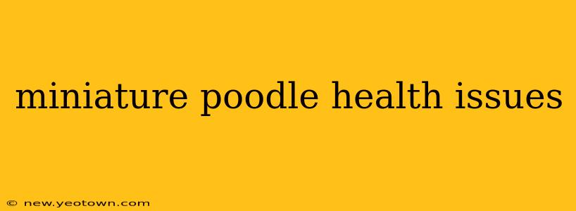miniature poodle health issues