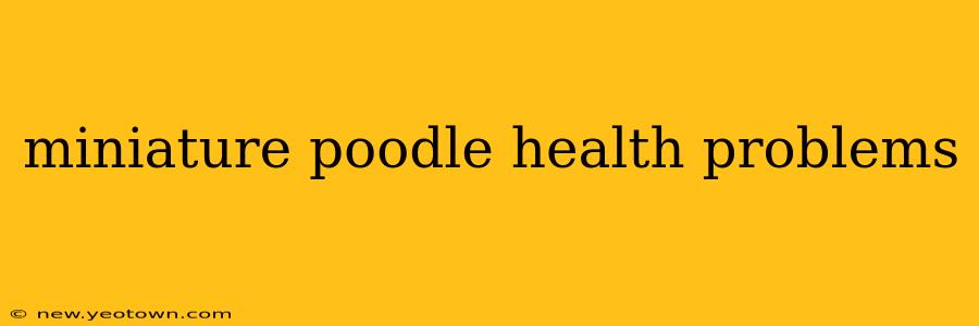 miniature poodle health problems