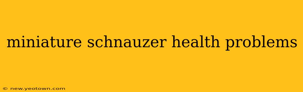 miniature schnauzer health problems