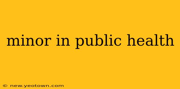 minor in public health