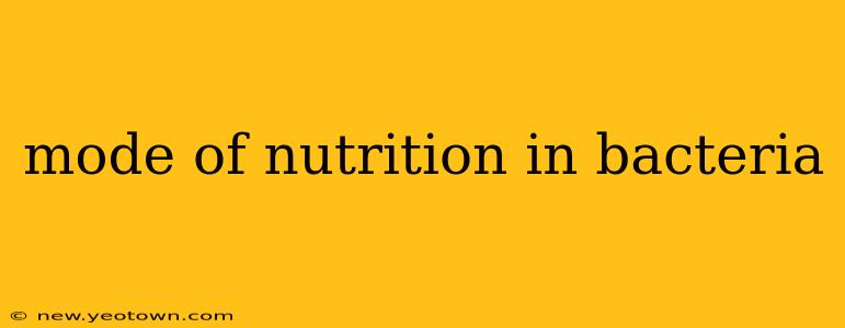 mode of nutrition in bacteria