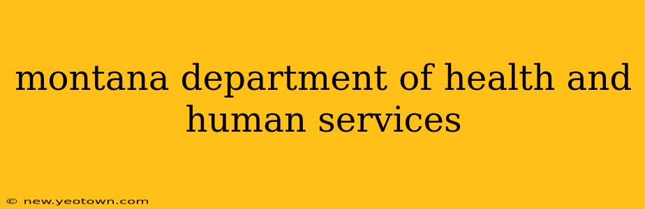 montana department of health and human services
