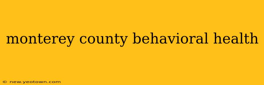 monterey county behavioral health