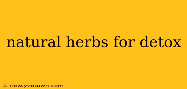 natural herbs for detox