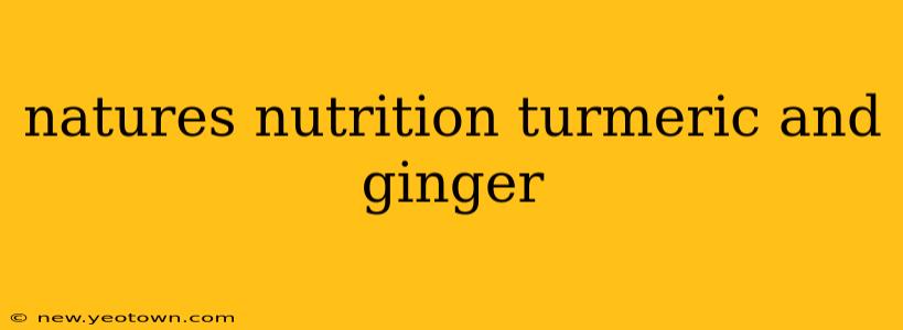 natures nutrition turmeric and ginger
