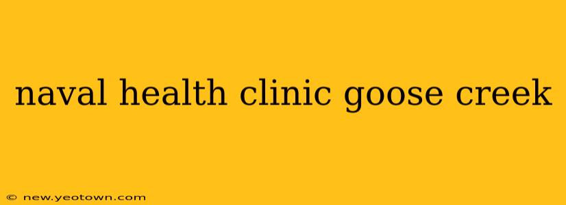 naval health clinic goose creek