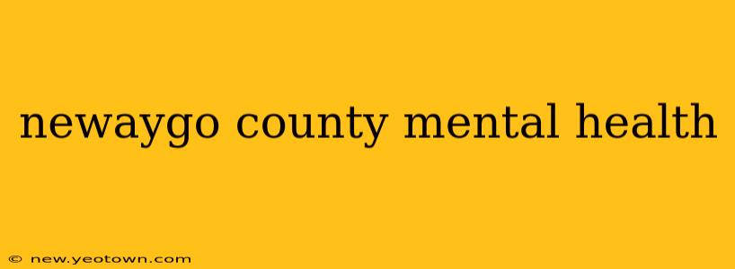 newaygo county mental health