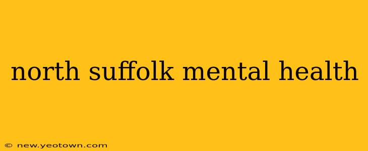 north suffolk mental health