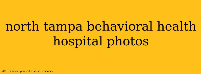 north tampa behavioral health hospital photos